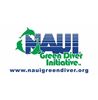 Picture of NAUI Green Diver Flag