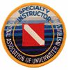 Picture of Specialty Instructor Patch