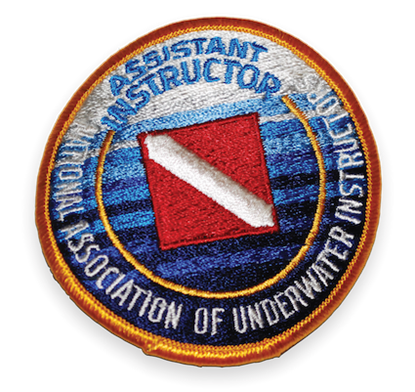 Picture of Assistant Instructor Patch