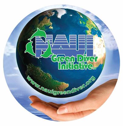NAUI Green Diver Decal