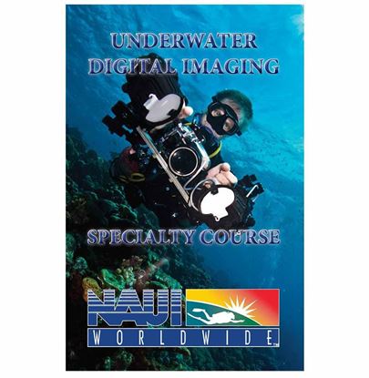 Underwater Digital Imaging Diver Specialty