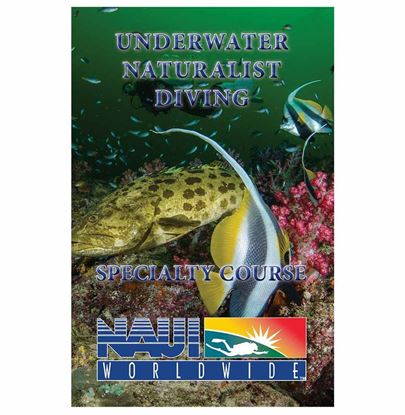 Underwater Naturalist Specialty 