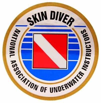 Skin Diver Decal