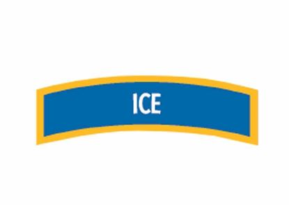 Picture of Specialty Ice Diver Chevron