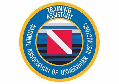 Picture of NAUI Training Assistant Decal