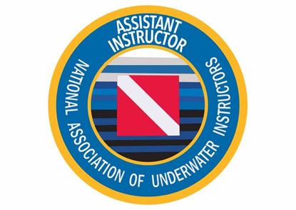 Picture of NAUI Assistant Instructor Decal