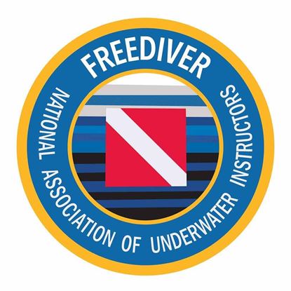 Picture of Freediver Decal