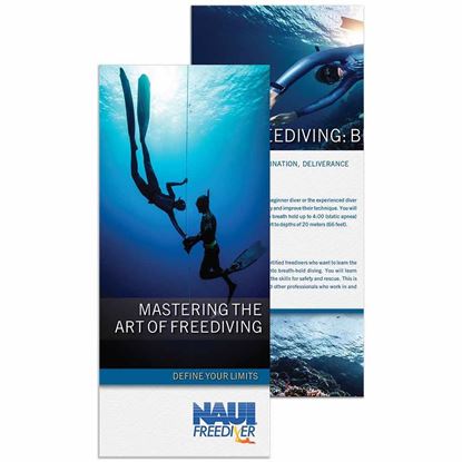 Picture of Freediver Brochure