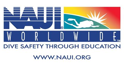 Picture of NAUI Logo Flag