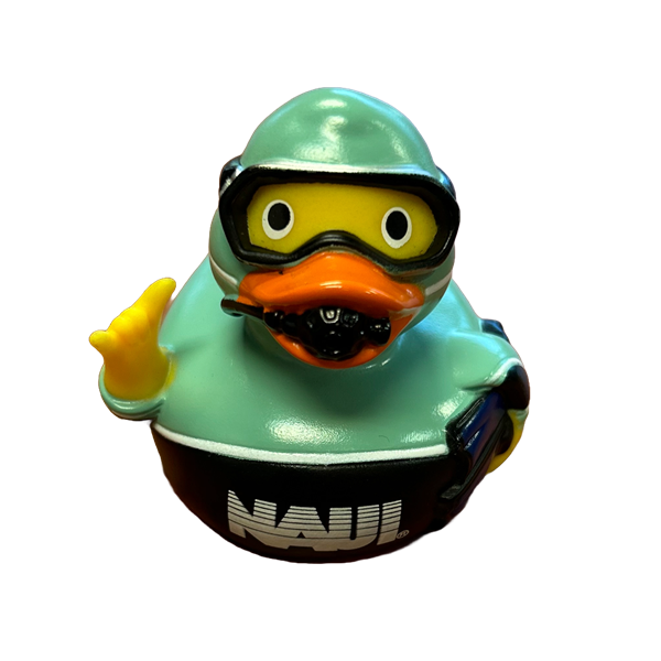 Picture of NAUI Teal Scuba Diver Duck