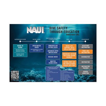 Picture of NAUI Recreational Progression Poster