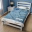 Picture of NAUI Plush Blanket